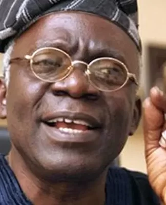 Falana’s Warning To FG On Arrest Of Minors Rings